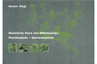 Illustrierte Flora von Mitteleuropa